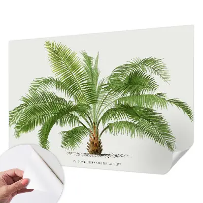 Papier peint photo grand format pour le mur palmier brillant