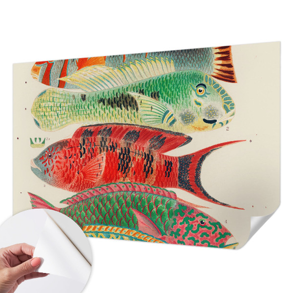 Papier peint tendance salon Exotické ryby