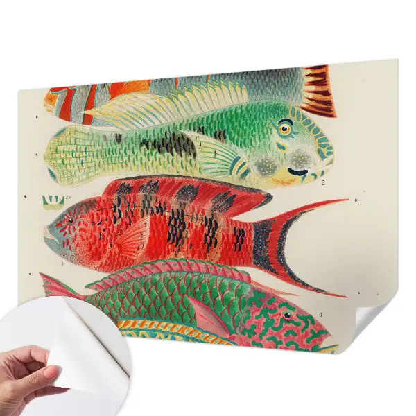Papier peint photo sur tissu non tissé Poissons exotiques