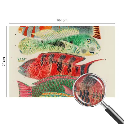 Papier peint photo sur tissu non tissé Poissons exotiques