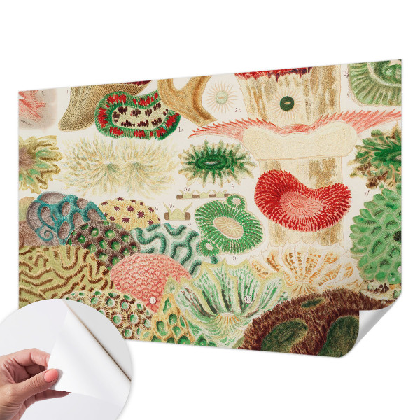 Papier peint tendance chambre adulte Organické tvary