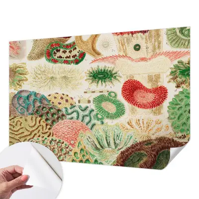 Papier peint photographique intissé formes organiques