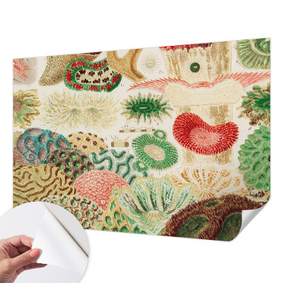 Papier peint tendance chambre adulte Organické tvary