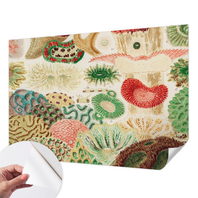 Papier peint tendance chambre adulte Organické tvary