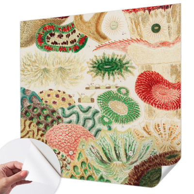 Papier peint tendance chambre adulte Organické tvary