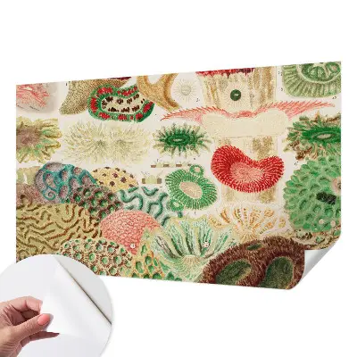 Papier peint photographique intissé formes organiques