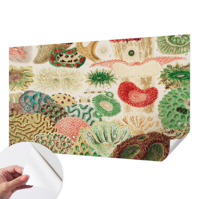 Papier peint tendance chambre adulte Organické tvary