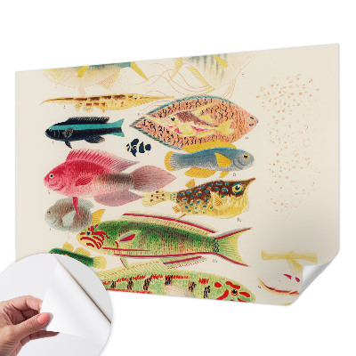 Papier peint décoratif salon Farebné ryby