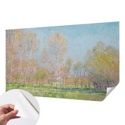 Papier peint panoramique pas cher Jarný park