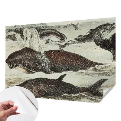 Papier peint photographique sur tissu non tissé créatures marines