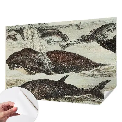 Papier peint photographique sur tissu non tissé créatures marines