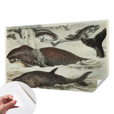Papier peint photographique sur tissu non tissé créatures marines