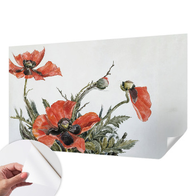 Papier peint décoratif salon Červené vlčie maky