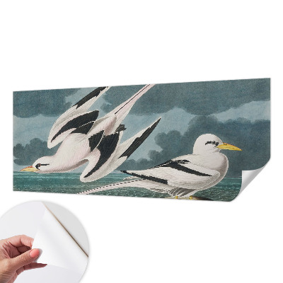 Papier peint chambre adulte cocooning Vtáky pri mori