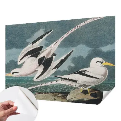 Papier peint photographique intissé Oiseaux au bord de la mer