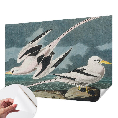 Papier peint chambre adulte cocooning Vtáky pri mori