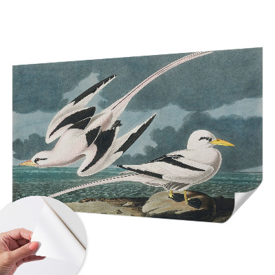 Papier peint chambre adulte cocooning Vtáky pri mori