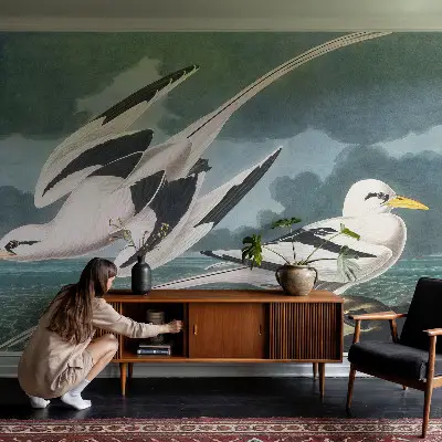 Papier peint photographique intissé Oiseaux au bord de la mer