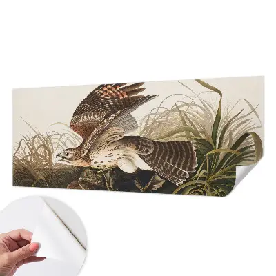 Papier peint photo imprimé sur tissu non tissé Beauté ailée