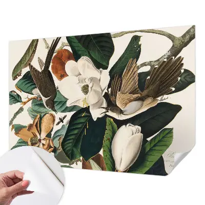 Papier peint photographique sur tissu non tissé oiseaux magnolias