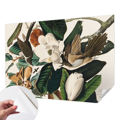 Papier peint chambre ado Vtáky magnólie