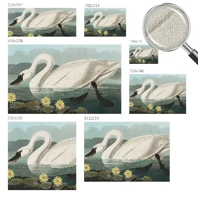 Papier peint intissé imprimé Cygnes et nénuphars