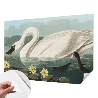 Papier peint intissé imprimé Cygnes et nénuphars