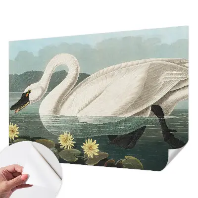 Papier peint intissé imprimé Cygnes et nénuphars