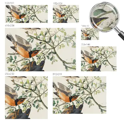 Papier peint intissé oiseaux colorés