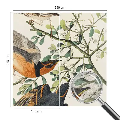 Papier peint intissé oiseaux colorés