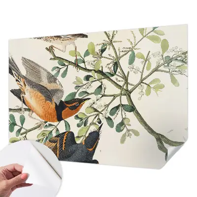 Papier peint intissé oiseaux colorés