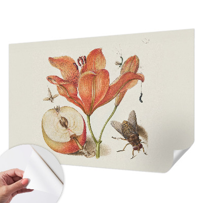 Papier peint adhésif Botanická ilustrácia