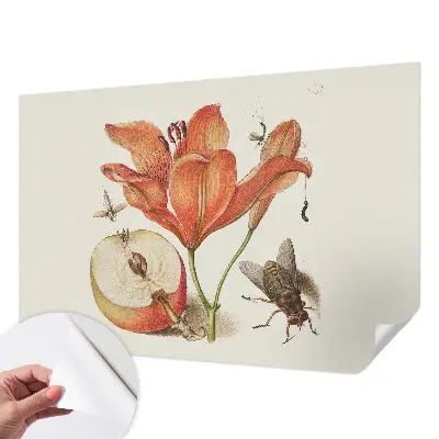 Papier peint intissé Illustration botanique