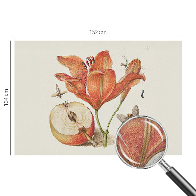 Papier peint adhésif Botanická ilustrácia