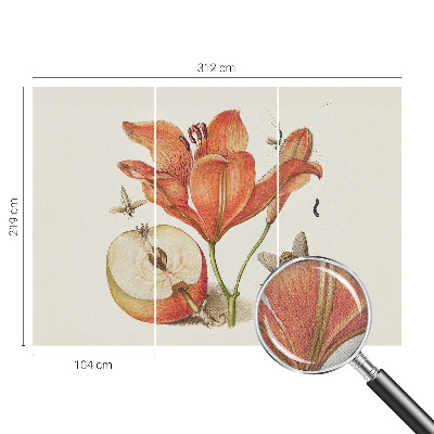 Papier peint adhésif Botanická ilustrácia