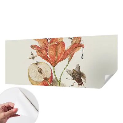Papier peint intissé Illustration botanique