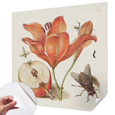 Papier peint adhésif Botanická ilustrácia