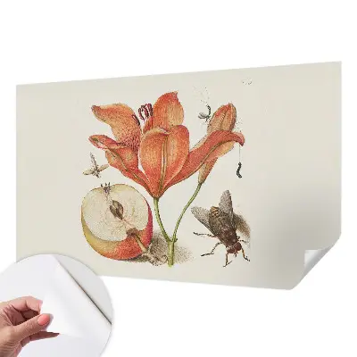 Papier peint intissé Illustration botanique