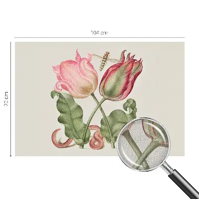 Papier peint photographique sur tissu non tissé beauté des tulipes