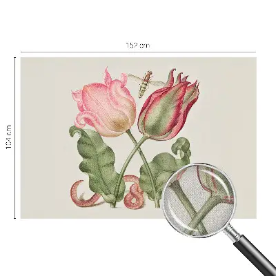 Papier peint photographique sur tissu non tissé beauté des tulipes