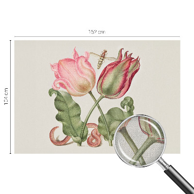 Déco papier peint salon Tulipánová krása