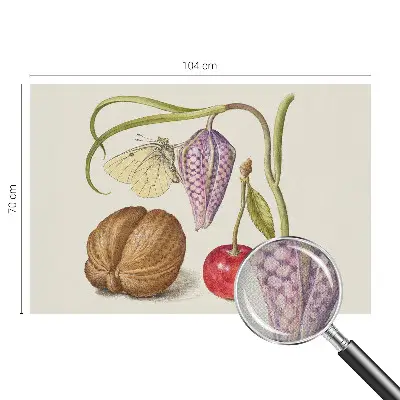 Papier peint photo grand format pour le mur plante papillon