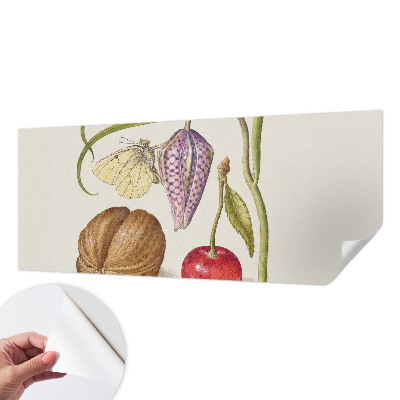 Papier peint panoramique adhésif Motýlia rastlina