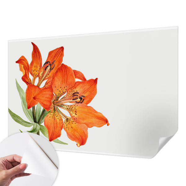 Papier peint photo autocollant Oranžová ľalia