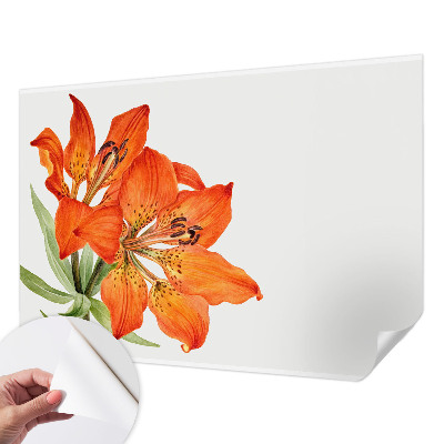 Papier peint photo autocollant Oranžová ľalia