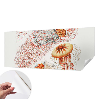 Papier peint panoramique pas cher Luxusná medúza