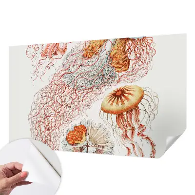 Papier peint intissé imprimé Méduses fantaisie
