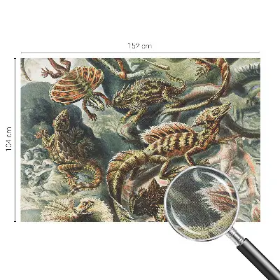 Papier peint photographique sur tissu non tissé Reptiles exotiques