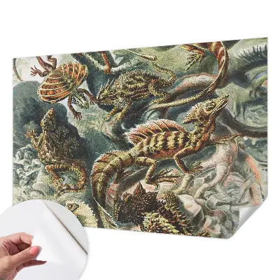 Papier peint photographique sur tissu non tissé Reptiles exotiques