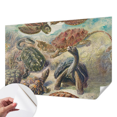 Papier peint panoramique adhésif Fauna korytnačiek